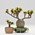 Exotic Pachypodium Pot: A Vibrant Delight! 3D model small image 1