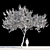 Regal Flamboyant Tree | Delonix Regia 3D model small image 2