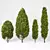 Vibrant Mediterranean Cypress Shrub 3D model small image 1