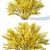 Full Bloom Forsythia Bush, 220-260cm 3D model small image 2