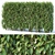 Forsythia Hedge Collection 3D model small image 1