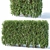 Forsythia Summer Hedge - 120cm 3D model small image 2