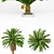 Premium Date Palm for Vray - High Detail Model 3D model small image 2