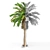 Premium Date Palm for Vray - High Detail Model 3D model small image 3