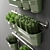 Premium Plant Collection | 3ds Max, OBJ | V-Ray, Corona, Fstorm 3D model small image 5