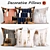 Elegant Lapin Pillow Set 3D model small image 1