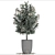 Exotic Nerium Oleander Tree - Plant Collection 271 3D model small image 3