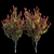 Elegant Leucadendron Tree 3D model small image 1