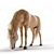 Grazing Stallion: Realistic 3D Horse Model 3D model small image 2