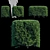 Dragon Lady Hedge | Ilex x aquipernyi 3D model small image 1