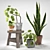 Green Delight: Pilea & Sansevieria Set 3D model small image 1