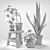 Green Delight: Pilea & Sansevieria Set 3D model small image 2