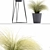 Exotic Tussock Grass Collection 3D model small image 2