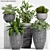 Decorative Plant Set: Enhance Your Space 3D model small image 1