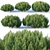 Compact Pinus Mugo Trees - Low Poly Collection 3D model small image 1