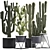 Exotic Cactus Collection: 7 Unique Varieties 3D model small image 1