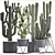 Exotic Cactus Collection: 7 Unique Varieties 3D model small image 3