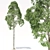 Elevated Eucalyptus: Exquisite 3D Model 3D model small image 1