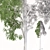 Elevated Eucalyptus: Exquisite 3D Model 3D model small image 2