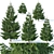  Majestic Fir Trees | 6 Sizes | Detailed & Versatile 3D model small image 1