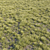 Natural Wild Grass Set 3D model small image 1