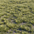 Natural Wild Grass Set 3D model small image 2