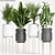 Modern Home Plant Decor Set 3D model small image 1