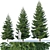 Versatile Spruce Tree Collection 3D model small image 1