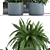 Exotic Indoor Plant Collection 3D model small image 2