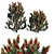 Bottlebrush Standard: Vibrant Bush 3D model small image 1