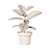 Variegated Ficus: Beautiful Indoor Plant 3D model small image 2