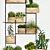 Elegant Greenery: Decorative Planter Set 3D model small image 2