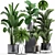 Exotic Plant Collection: Ficus, Palm, Fern 3D model small image 1
