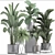 Exotic Plant Collection: Ficus, Palm, Fern 3D model small image 3