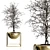 Elegant Branching Tree Sculpture 3D model small image 1