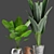 Tropical Banana Palm Plant with Vintage Pot 3D model small image 2