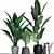 Tropical Plant Collection: Paradise, Monstera, Banana Palm - 125 Varieties 3D model small image 2