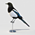 Eurasian Magpie: Lifelike Model 3D model small image 3