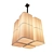 Ozone Brasilia L - Stylized Illumination with a Touch of Elegance 3D model small image 1