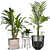 Elegant Collection of Indoor Plants 3D model small image 1