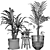 Elegant Collection of Indoor Plants 3D model small image 3