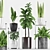 Assorted Plants in Stylish Pots 3D model small image 1