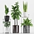 Assorted Plants in Stylish Pots 3D model small image 2