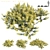 Golden Carpet Juniperus | All Gold 3D model small image 1