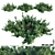 Coastal Beauty: Juniperus Conferta 3D model small image 1