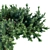 Coastal Beauty: Juniperus Conferta 3D model small image 2