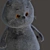 Cozy Kitty Basics 3D model small image 2