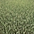 Lush Green Grass Collection 3D model small image 1