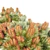 Coastal Banksia Hairpin: Exquisite 3D Model 3D model small image 3