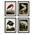 Modern Bird Collection - Set of 4 3D model small image 1